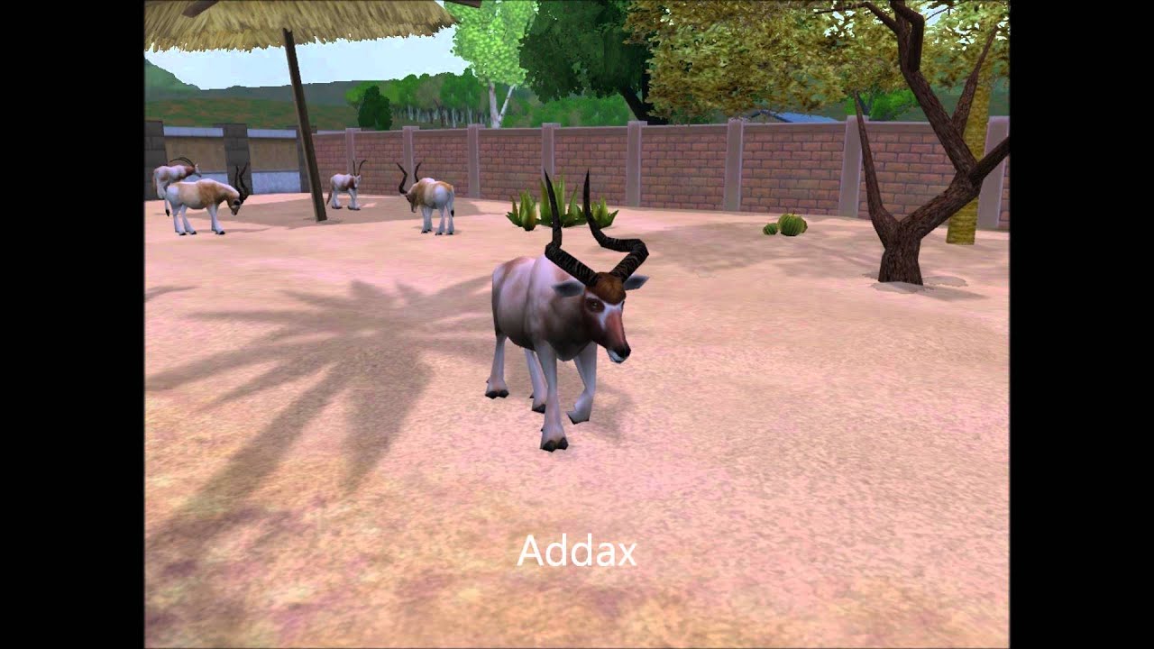 zoo tycoon 2 addax free download
